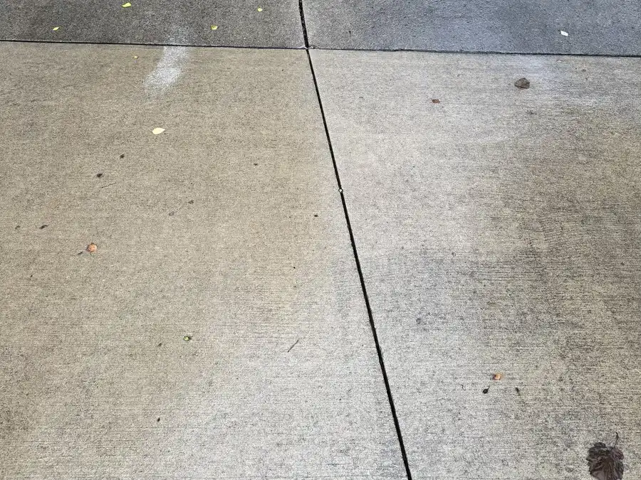 Before surface cleaning: concrete driveway slabs with dark stains, leaves and scattered debris
