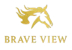 Brave View