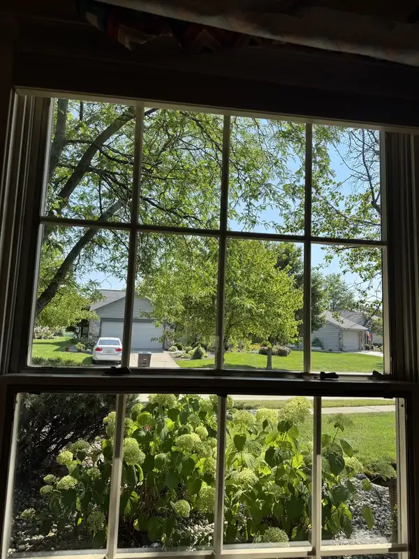 New Haven double-hung window looking out over the front yard and street