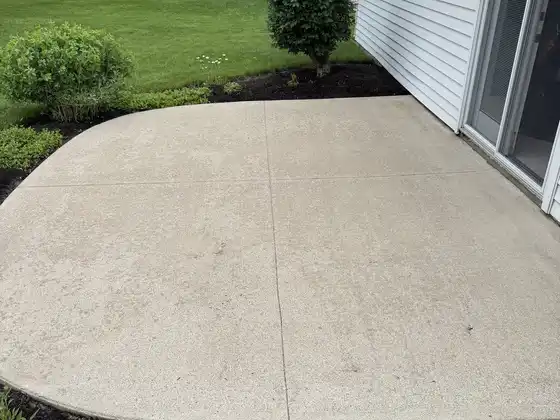 After cleaning: the same concrete patio, now light and uniform beside the shrubs