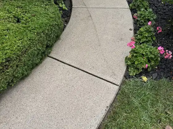 After surface cleaning: the same curved front walk, now light and even in color