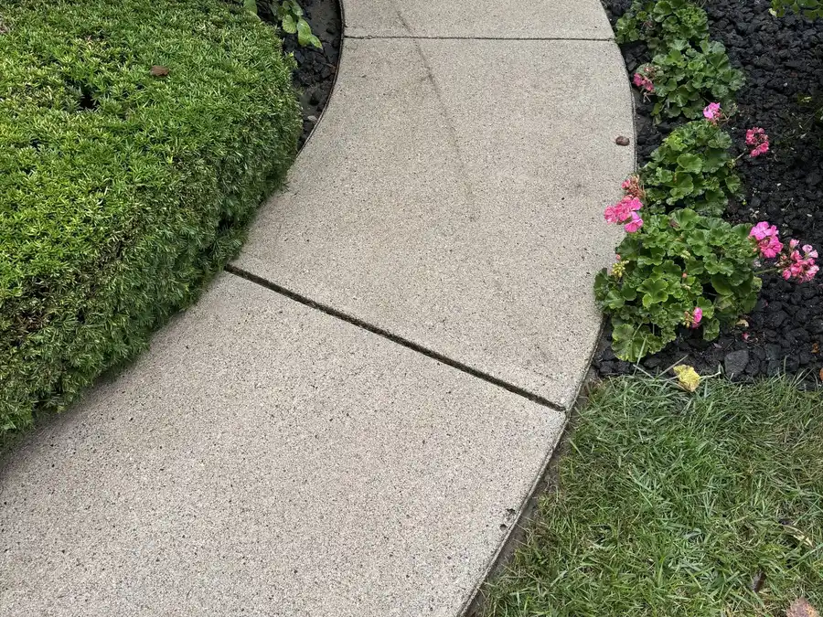 After surface cleaning: the same curved front walk, now light and even in color