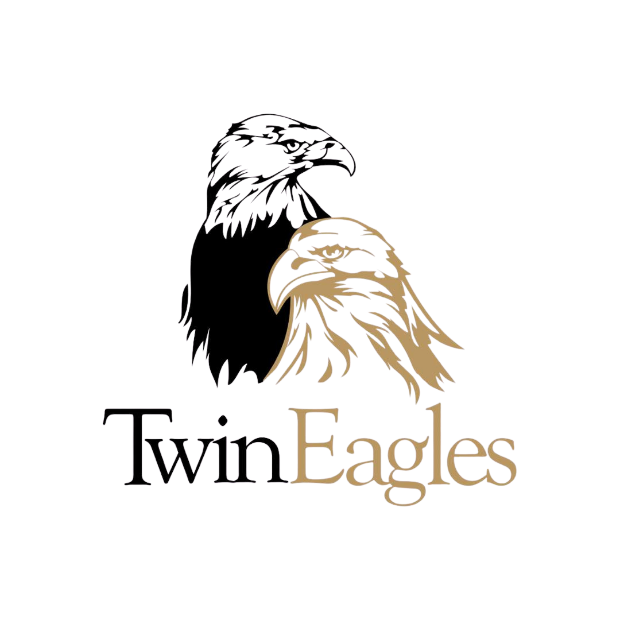 Twin Eagle trans